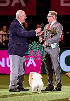 Crufts 2016 Best of Breed