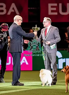 Crufts 2016 Best of Breed