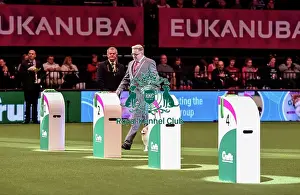 Crufts 2016 Best of Breed