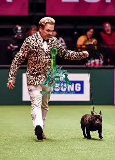 Crufts 2016 Best of Breed
