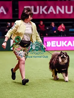 Crufts 2016 Best of Breed