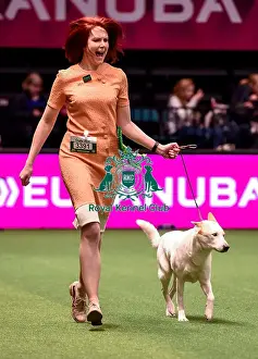 Crufts 2016 Best of Breed