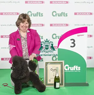 Crufts 2016 Best of Breed