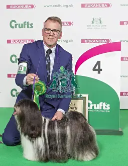 Crufts 2016 Best of Breed