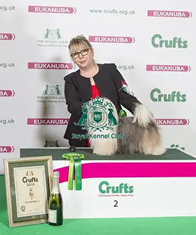 Crufts 2016 Best of Breed