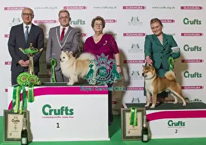 Crufts 2016 Best of Breed