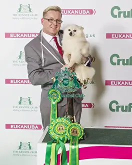 Crufts 2016 Best of Breed