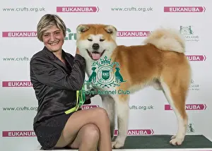Crufts 2016 Best of Breed