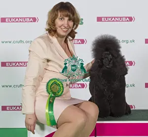 Crufts 2016 Best of Breed