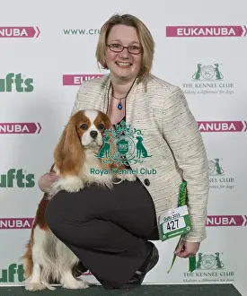 Crufts 2016 Best of Breed