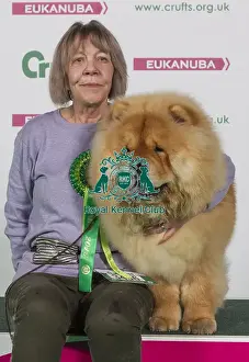 Crufts 2016 Best of Breed