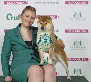 Crufts 2016 Best of Breed