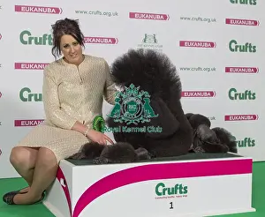 Crufts 2016 Best of Breed