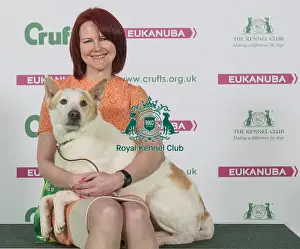 Crufts 2016 Best of Breed
