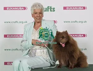 Crufts 2016 Best of Breed