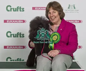 Crufts 2016 Best of Breed