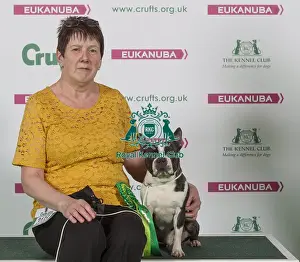 Crufts 2016 Best of Breed