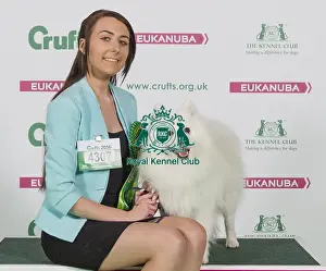Crufts 2016 Best of Breed