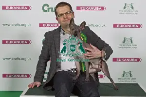 Crufts 2016 Best of Breed