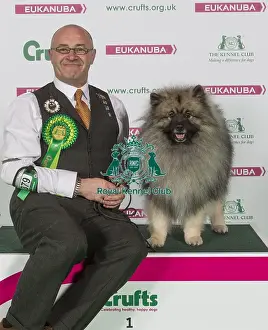 Crufts 2016 Best of Breed