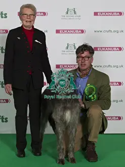 Crufts 2016 Best of Breed