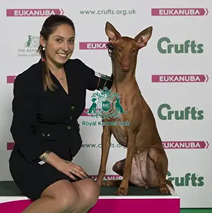 Crufts 2016 Best of Breed