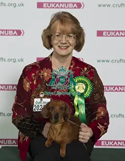 Crufts 2016 Best of Breed
