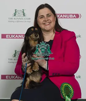 Crufts 2016 Best of Breed