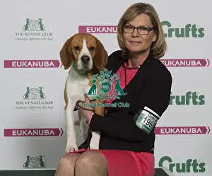 Crufts 2016 Best of Breed