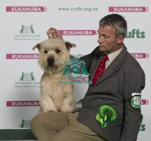 Crufts 2016 Best of Breed