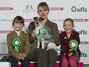 Crufts 2016 Best of Breed