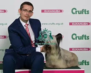 Crufts 2016 Best of Breed