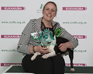 Crufts 2016 Best of Breed