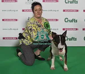 Crufts 2016 Best of Breed