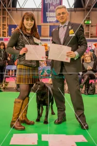 Crufts 2016 Gundog day