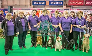 Crufts 2016 Gundog day