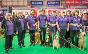 Crufts 2016 Gundog day