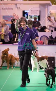 Crufts 2016 Gundog day