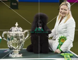Utility Group winner