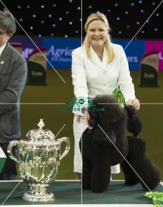 Crufts 2017