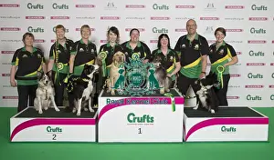 Crufts 2017