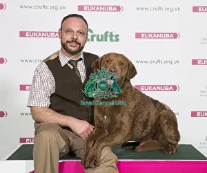 Crufts 2017