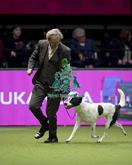 Crufts 2017
