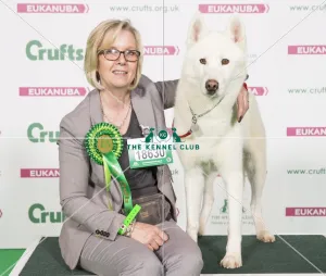Crufts 2017