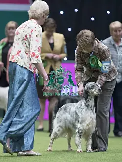 Crufts 2017