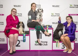 Crufts 2017