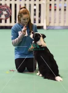 Crufts 2017 Crufts 2017
