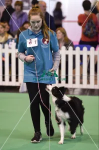 Crufts 2017 Crufts 2017