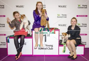 Crufts 2017