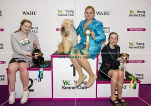 Crufts 2017